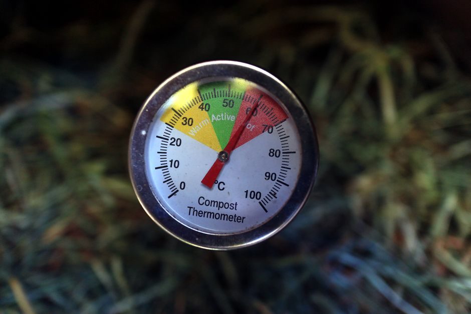 Turn and Check a Compost Heap Before Winter Sets In