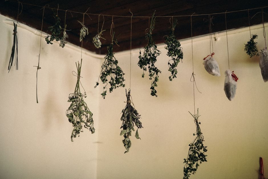 Harvest and Hang-Dry Herbs Before the First Frost